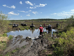 Разведка вдоль Ушаковки 24.05.2025