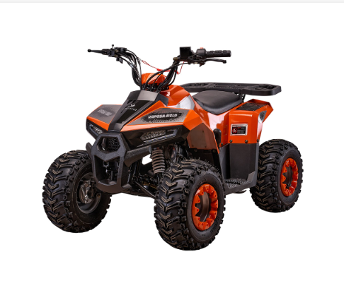 Квадроцикл Yacota Raposa 110 (Красный) Квадроцикл Yacota Raposa 110 (Красный)